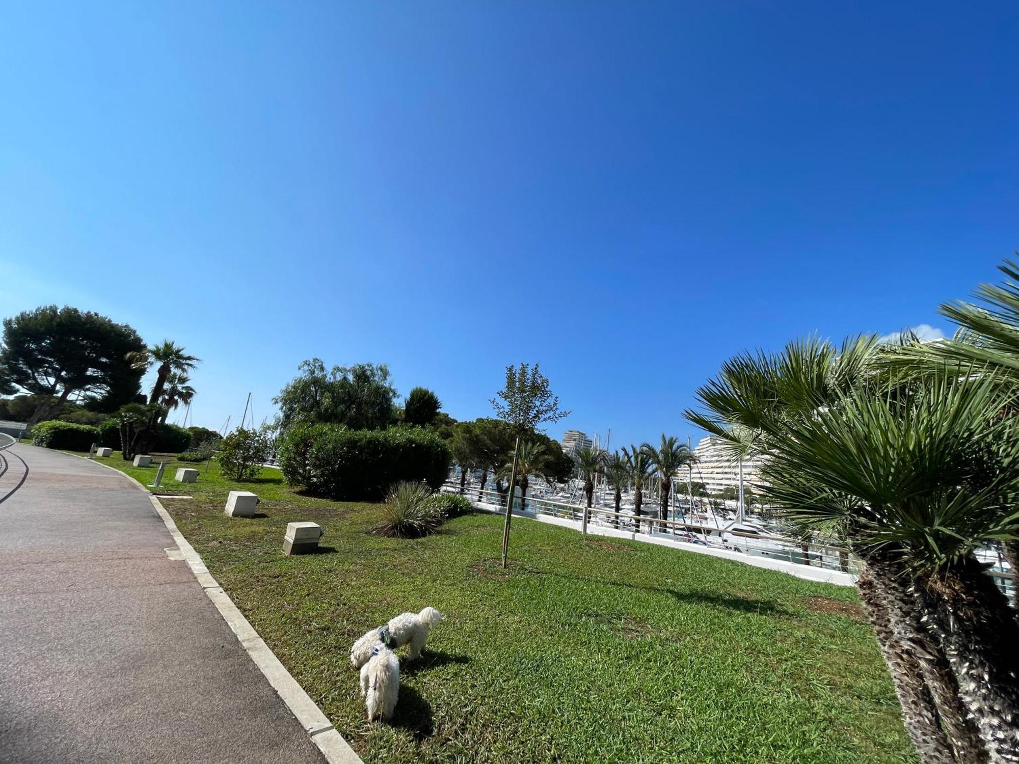 Studio A 2 Pas De La Plage Villeneuve-Loubet Esterno foto